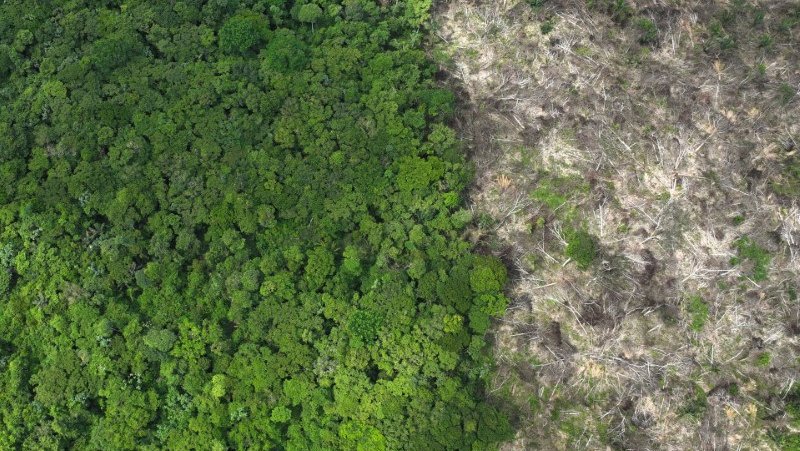 Área desmatada da Floresta Amazônica