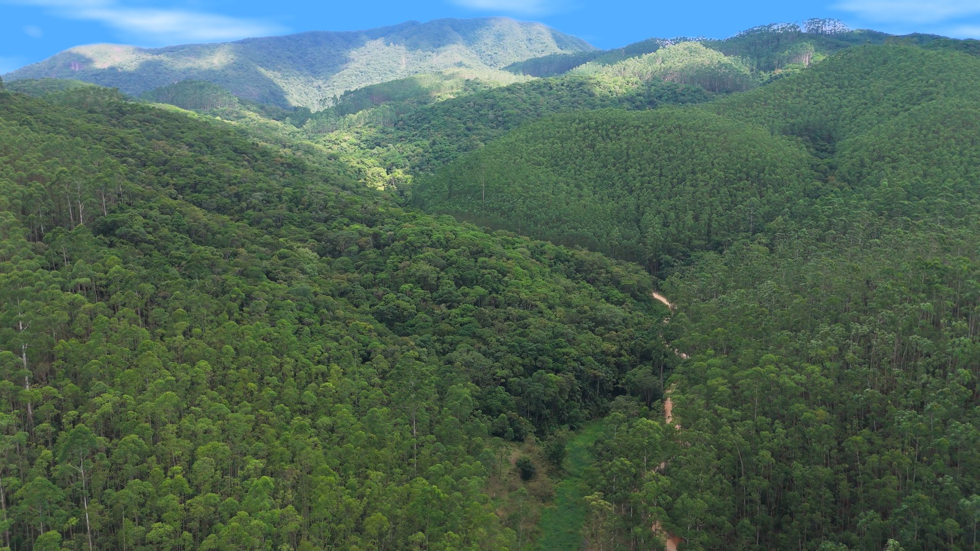 Área do Parque Atlântica recuperada pela empresa catarinense