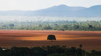 Cerrado