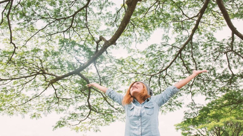 Mulher em meio a árvores e natureza