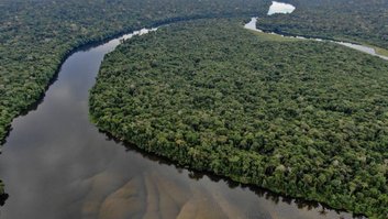 Congresso marcha rumo ao retrocesso ambiental em ano de COP-30