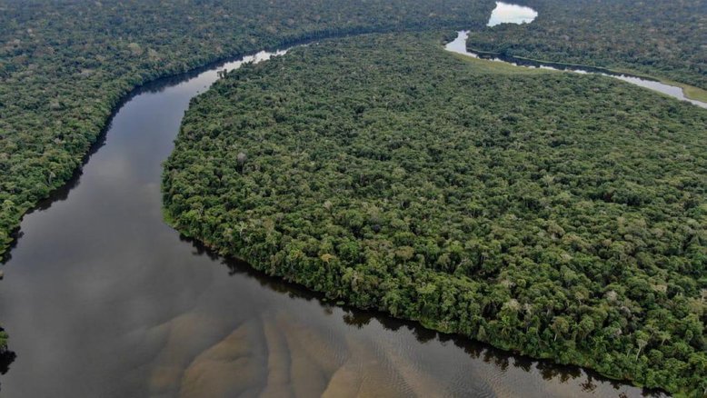 Congresso marcha rumo ao retrocesso ambiental em ano de COP-30