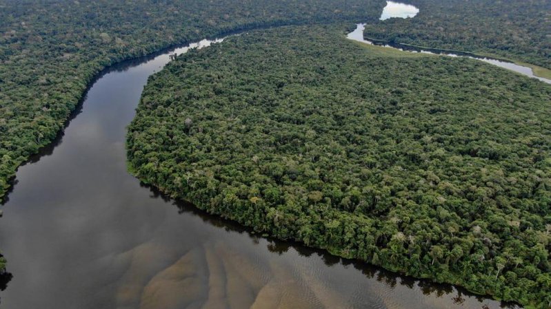 Congresso marcha rumo ao retrocesso ambiental em ano de COP-30