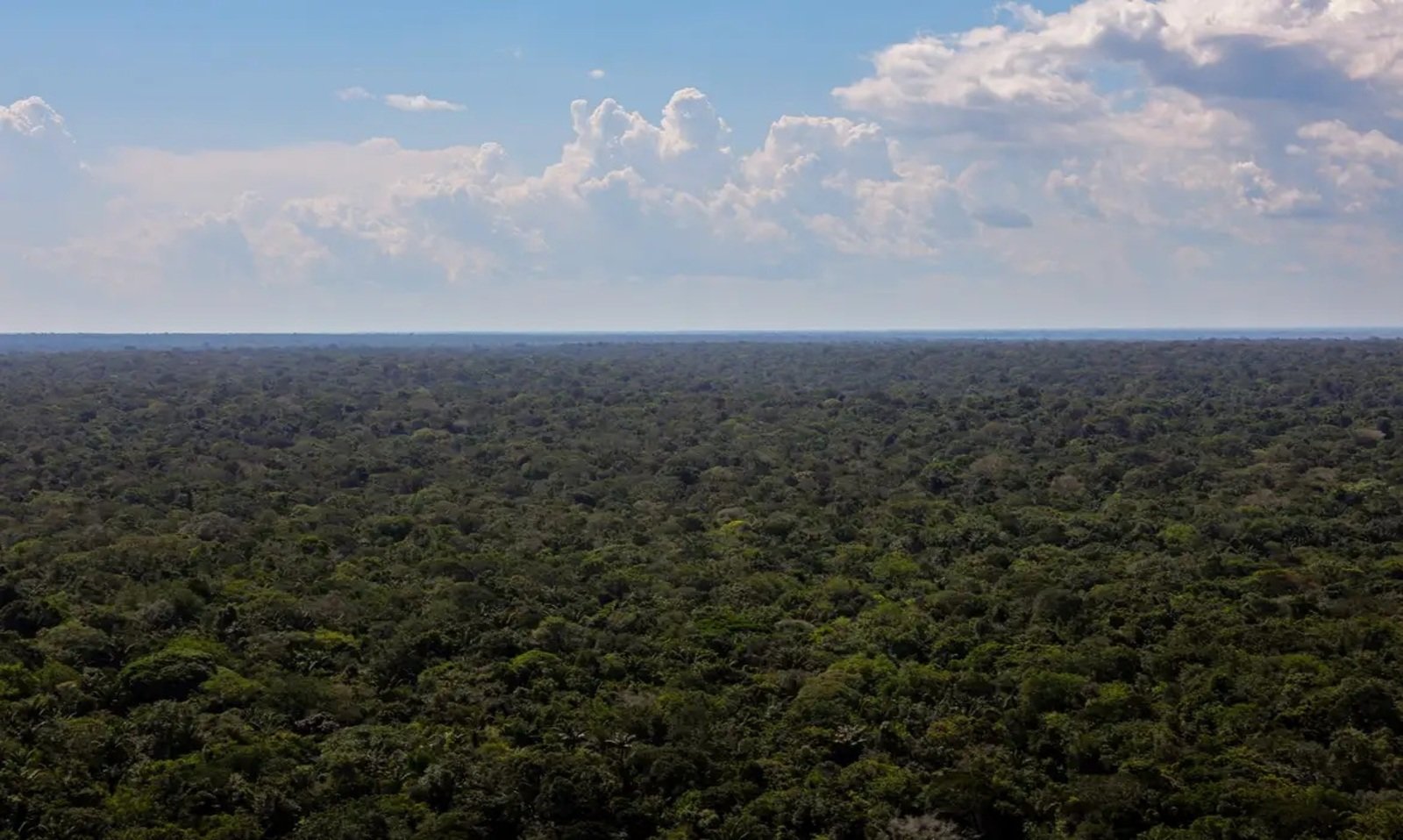 Amazônia vive incoerência entre fertilizantes e preservação