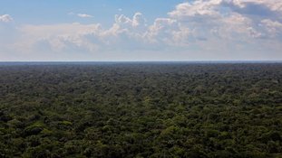 Países amazônicos defendem criação de fundo para preservação de florestas