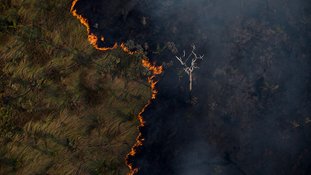 Mapbiomas: Brasil perdeu área de vegetação nativa maior que a Bolívia em 40 anos