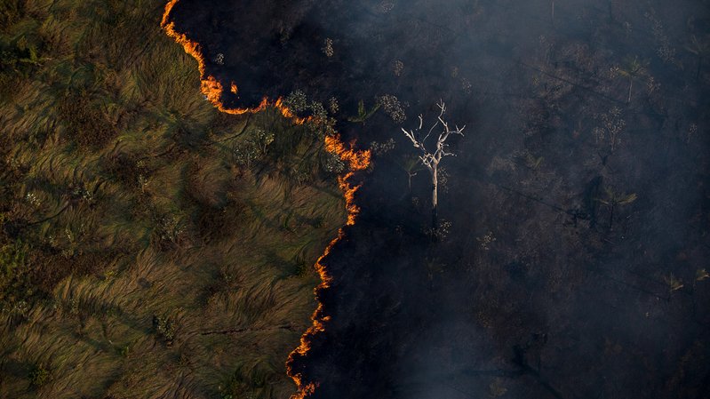 Mapbiomas: Brasil perdeu área de vegetação nativa maior que a Bolívia em 40 anos
