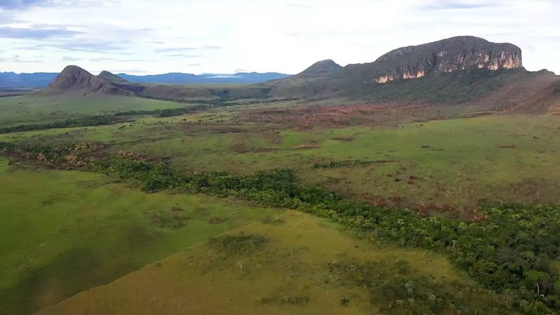 Crédito de carbono: projeto quer recuperar 100 mil hectares de pastagens no Cerrado