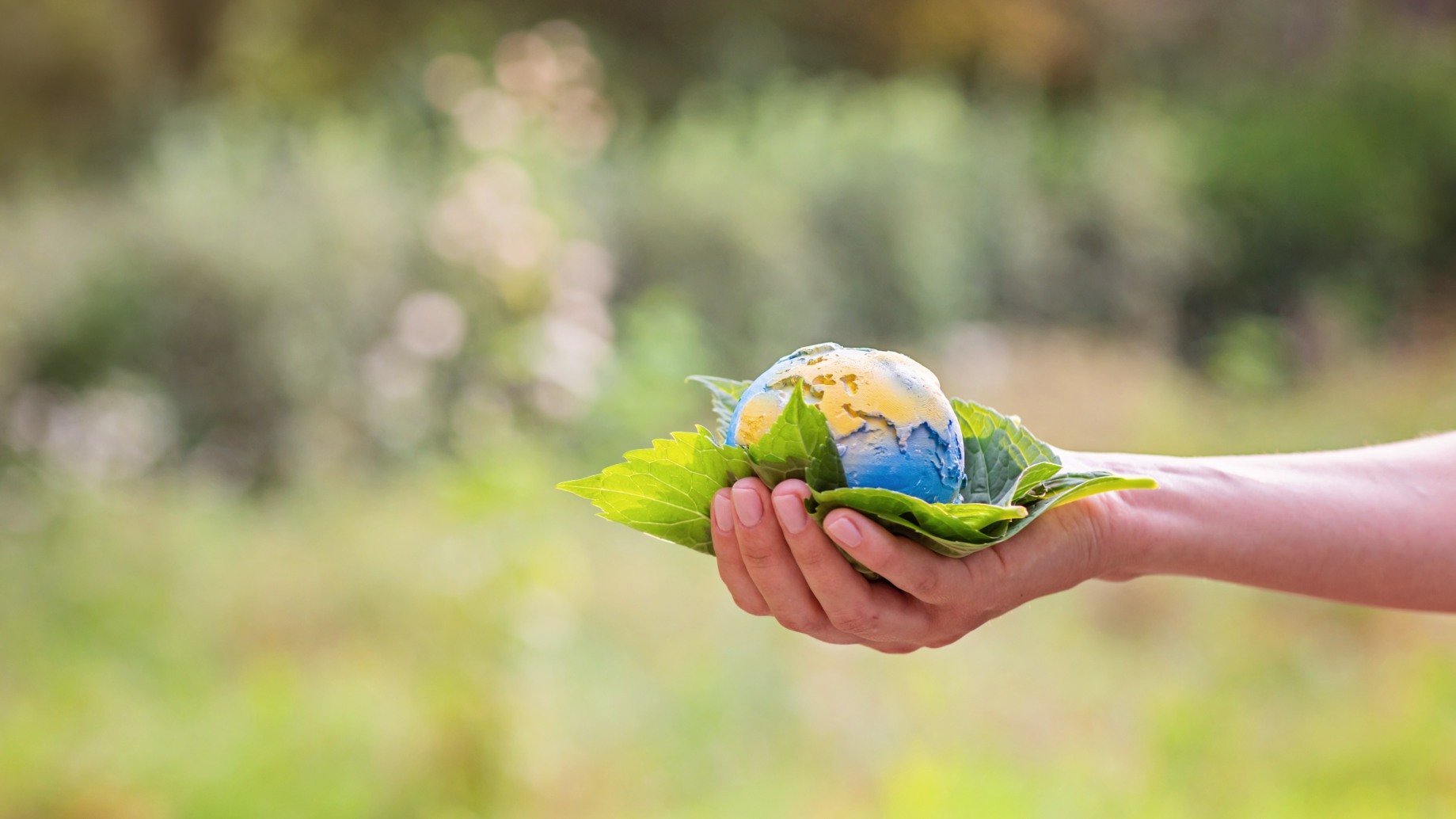 Enquanto a mitigação busca reduzir as emissões de gases de efeito estufa, a adaptação trata das consequências em curso - Foto: Envato