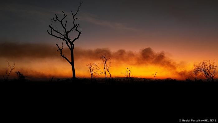 Incêndios florestais: o que explica a queda de incidência no Brasil?