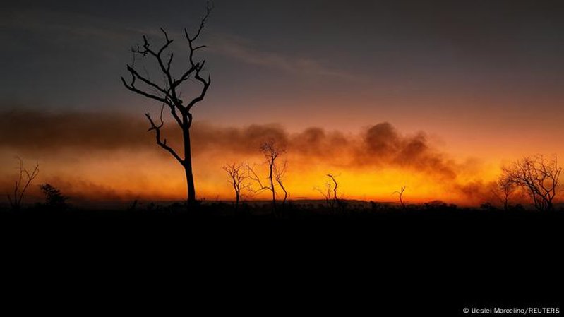 Incêndios florestais: o que explica a queda de incidência no Brasil?