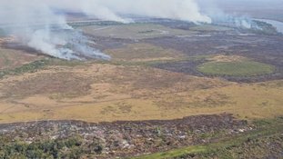 Leilão do Tesouro levanta R$ 17 bilhões para recuperar 1,5 milhão de hectares