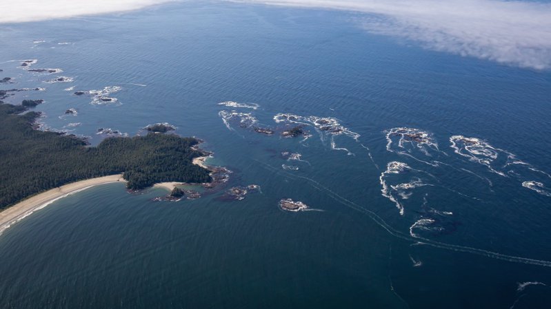 Oceano e clima devem ser integrados de forma definitiva na COP30, dizem especialistas