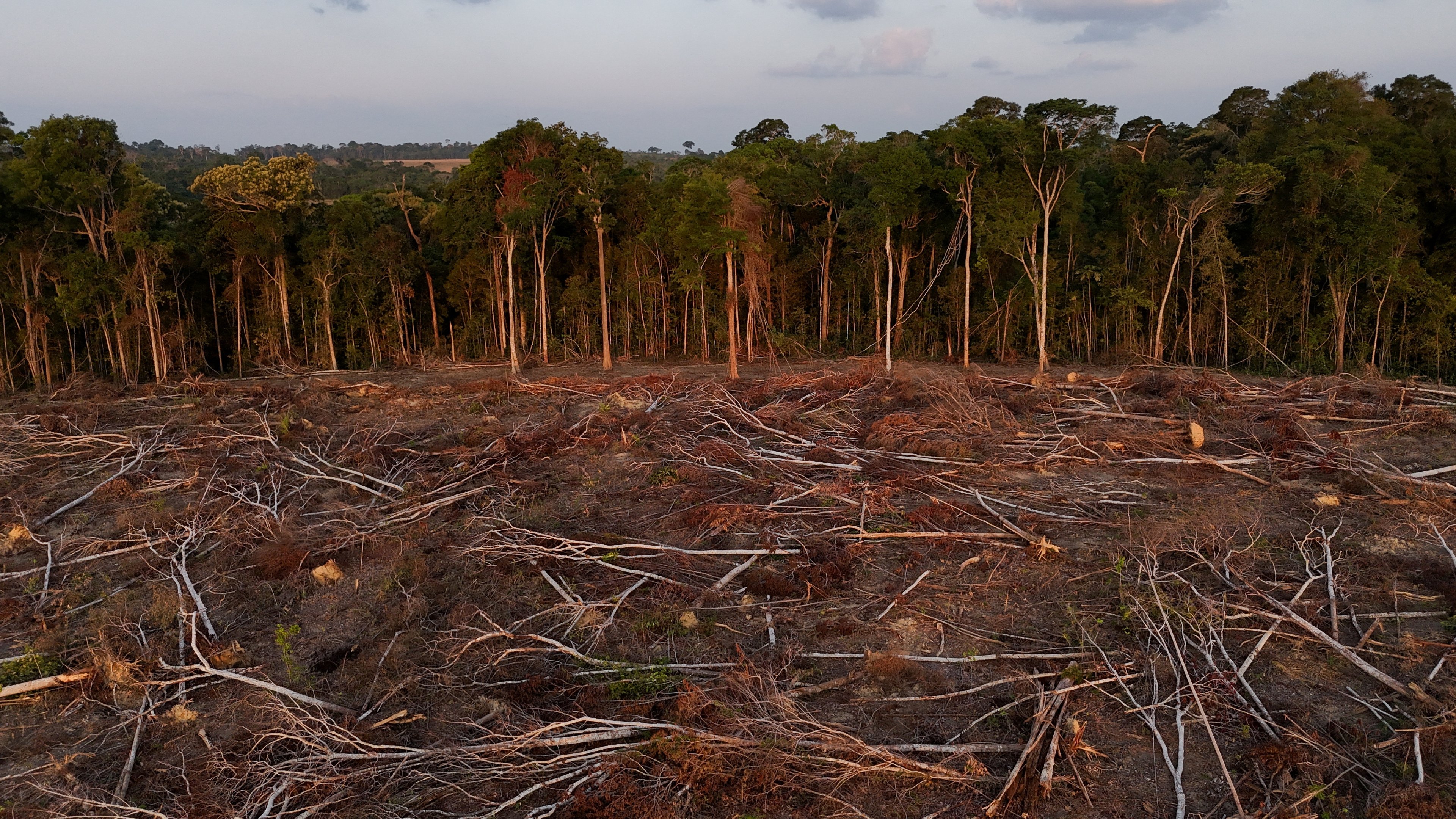 UE recua em pauta ambiental e adia lei antidesmatamento por mais um ano