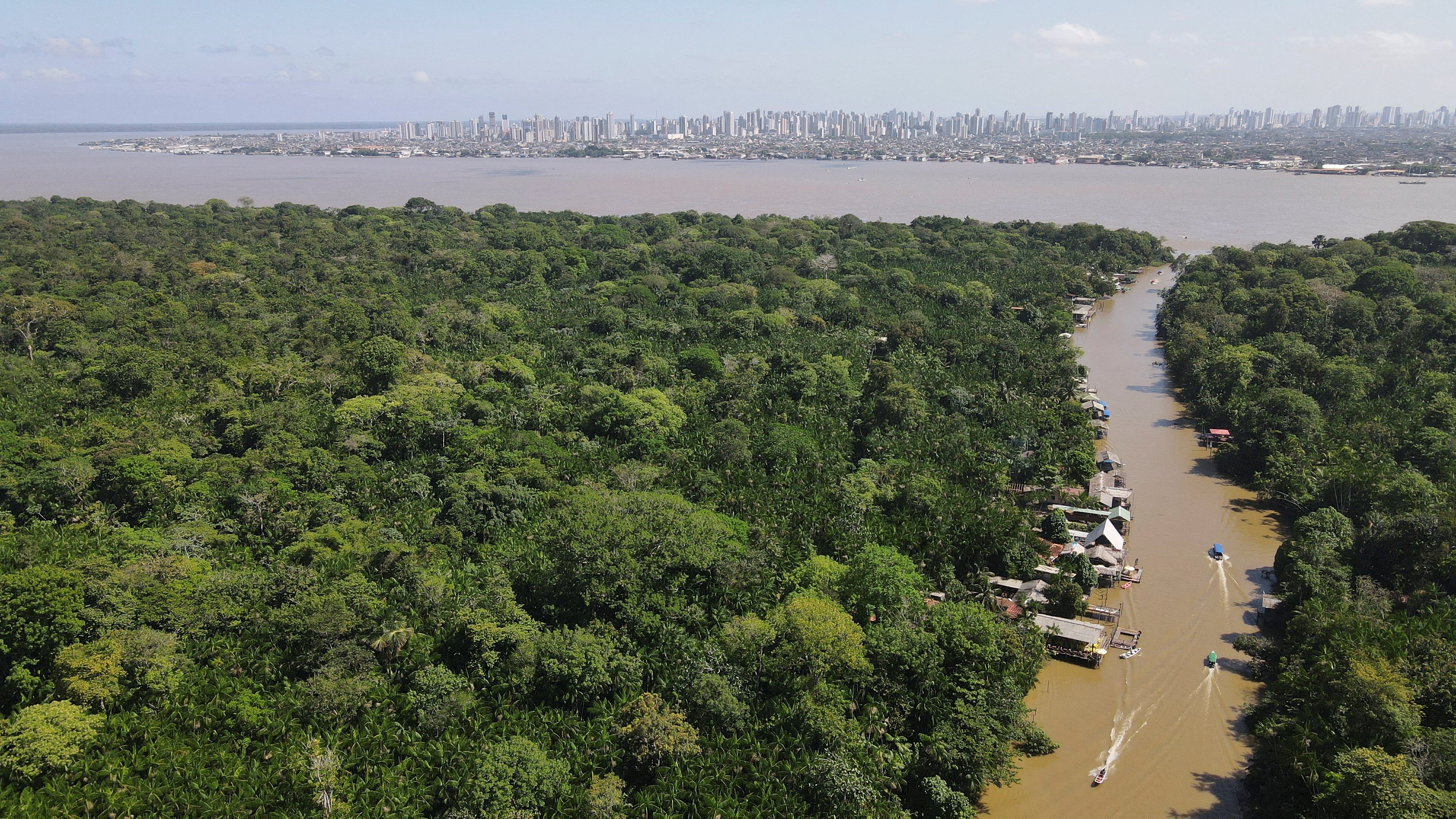 Brasil anuncia investimento de US$1 bilhão em fundo global para proteção de florestas