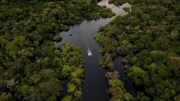 Desmatamento reduz 74% das chuvas e aumenta temperatura na Amazônia em época de seca