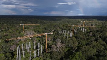 Cientistas operam "máquina do tempo" climática na Amazônia antes da COP30