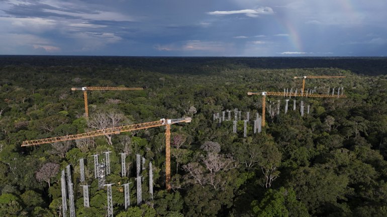 Cientistas operam "máquina do tempo" climática na Amazônia antes da COP30