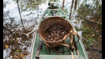 Thiago Theo/ Divulgação