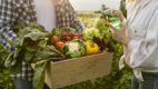 Agricultura sustentável é novo paradigma do luxo