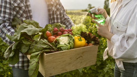 Agricultura sustentável é novo paradigma do luxo