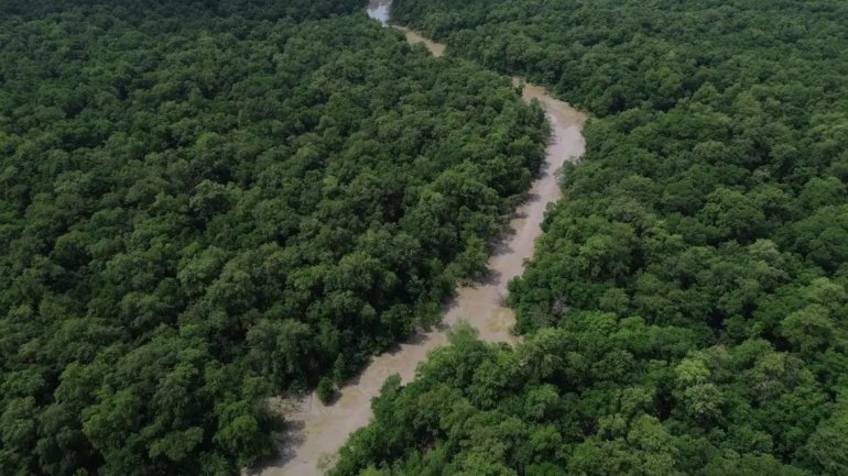 Amazônia enfrenta escalada inédita de temperaturas extremas em áreas preservadas Amazônia enfrenta escalada inédita de temperaturas extremas em áreas preservadas