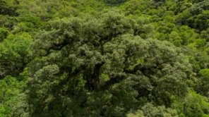 Fernando Frazão/Agência Brasil