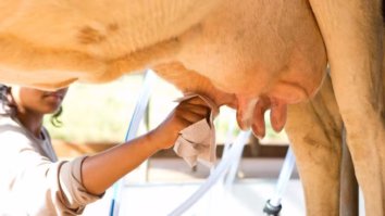 Nestlé e BB lançam crédito de R$ 100 mi para reduzir emissões na produção de leite