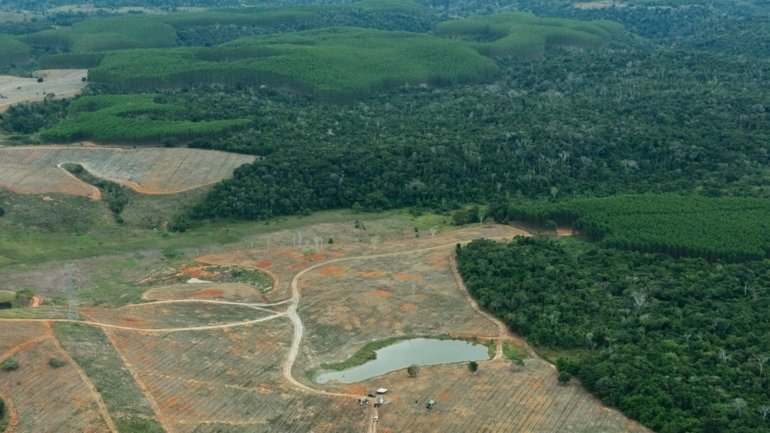 Divulgação/ re.green